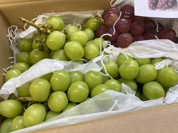 食欲の秋、フードロスについて考える。