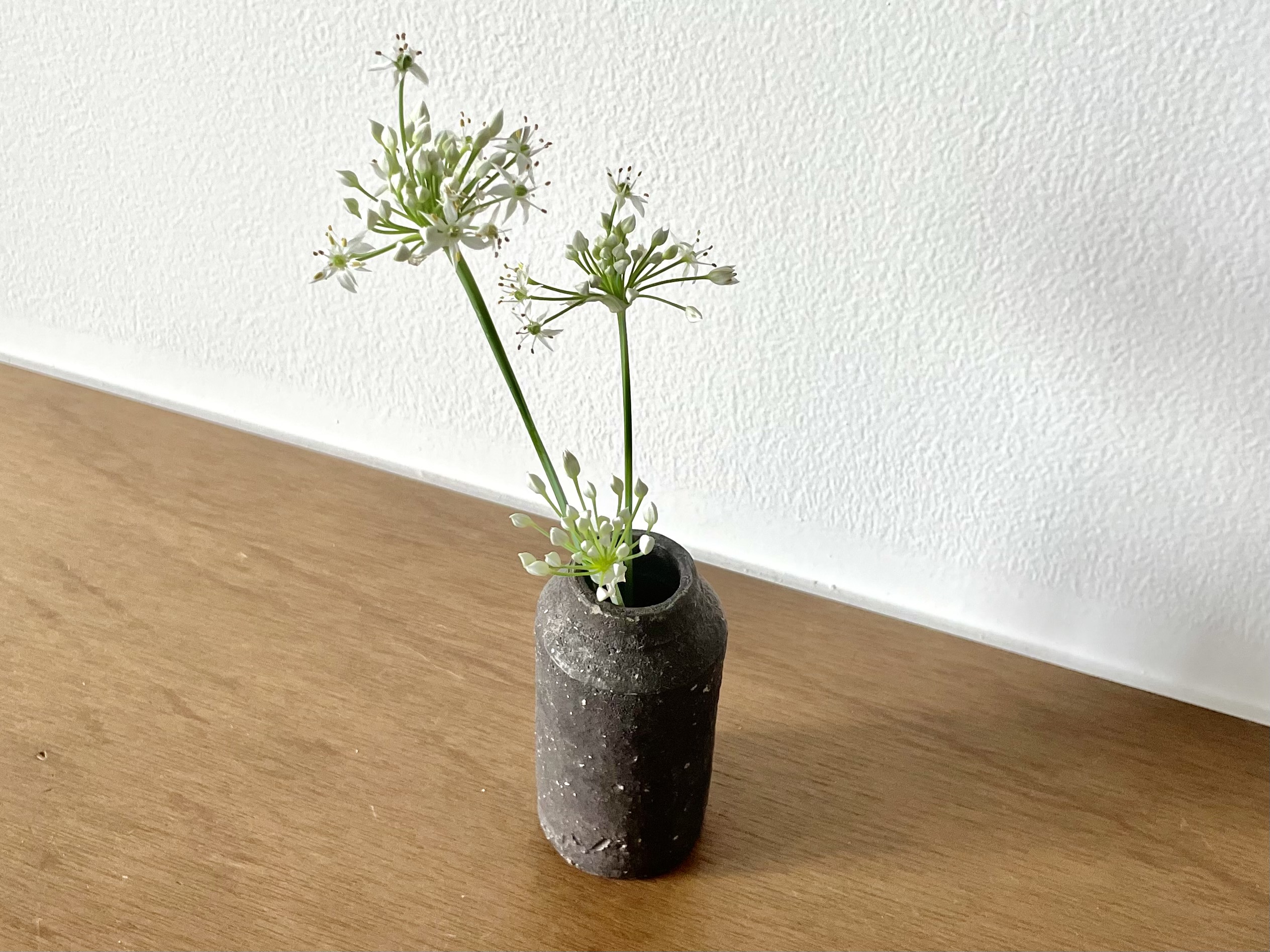 さて、問題です！